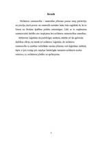 Referāts 'Loģistikas noliktavas sistēmu projektēšana', 3.