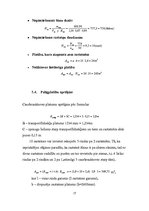 Referāts 'Loģistikas noliktavas sistēmu projektēšana', 17.