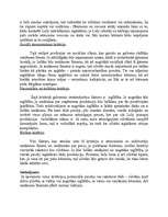 Konspekts 'Jauna produkta projekts', 2.