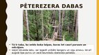 Prezentācija 'Dabas aizsardzība- nacionālie parki', 29.