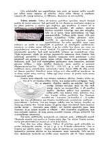 Referāts 'Grieķu teātris', 1.