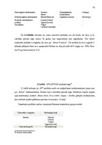 Diplomdarbs 'Mārketinga darbības pilnveide uzņēmumā "PF Latvija"', 30.