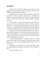 Paraugs 'Zinātniski pētnieciskā darba sagatave', 19.