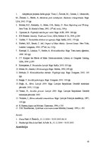 Referāts 'Kriminālziņu atspoguļojums laikrakstos "Diena" un "Neatkarīgā Rīta Avīze"', 43.