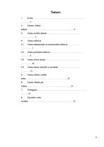 Referāts 'Solona reformas', 2.