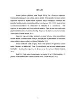 Referāts '"Danone Actimel" naturālais jogurta dzēriens', 3.