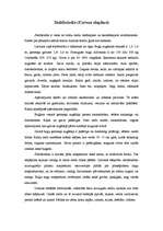 Konspekts 'Latvijas zīdītājdzīvnieki', 5.