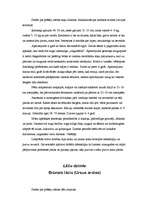 Konspekts 'Latvijas zīdītājdzīvnieki', 10.