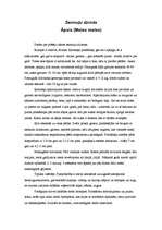 Konspekts 'Latvijas zīdītājdzīvnieki', 13.