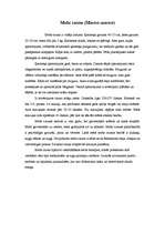 Konspekts 'Latvijas zīdītājdzīvnieki', 15.