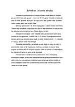 Konspekts 'Latvijas zīdītājdzīvnieki', 18.