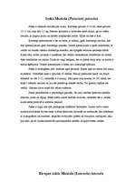 Konspekts 'Latvijas zīdītājdzīvnieki', 19.