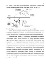 Diplomdarbs 'SIA "X" apkalpojošā personāla darba apmaksas sistēmas pilnveidošana', 29.