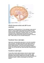 Referāts 'Augstāko un zemāko smadzeņu centru funkcijas', 2.