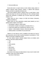 Referāts 'Zīmolvedības veidi un metodes', 11.