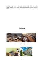 Referāts 'Bēgļi', 7.