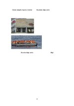 Referāts 'Bēgļi', 8.