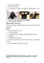 Referāts 'Pirmās palīdzības sniegšana ceļu satiksmes negadījuma vietā', 9.