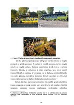 Referāts 'Pirmās palīdzības sniegšana ceļu satiksmes negadījuma vietā', 14.