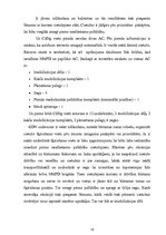 Referāts 'Pirmās palīdzības sniegšana ceļu satiksmes negadījuma vietā', 16.