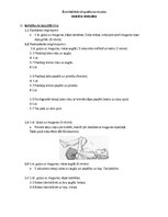 Paraugs 'Ārstnieciskās vingrošanas stunda. Ieliektas muguras problēma', 1.