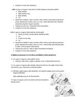 Paraugs 'Ārstnieciskās vingrošanas stunda. Ieliektas muguras problēma', 5.