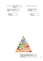 Referāts 'Vesela bērna augšana, attīstība un uzturs', 9.