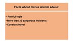Prezentācija 'Elephants. Human Impacts and Threats', 24.