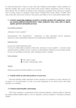 Referāts 'Praktiskais darbs svētku un sarīkojumu vadībā', 7.