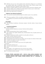 Referāts 'Praktiskais darbs svētku un sarīkojumu vadībā', 9.