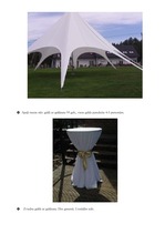 Referāts 'Praktiskais darbs svētku un sarīkojumu vadībā', 12.