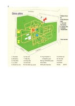 Referāts 'Praktiskais darbs svētku un sarīkojumu vadībā', 19.