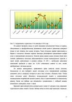 Biznesa plāns 'Стратегический план создания гостевого дома повышенной комфортности', 11.