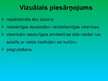 Prezentācija 'Tūrisms un tā ietekme uz vidi', 24.