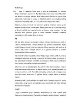 Konspekts 'Senie latvieši un Latvijas teritorijas senās tautas: vēsture, sabiedrība, kultūr', 8.