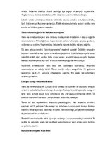 Konspekts 'Senie latvieši un Latvijas teritorijas senās tautas: vēsture, sabiedrība, kultūr', 14.