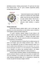 Referāts 'Radioaktivitāte', 4.