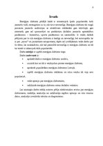 Referāts 'Enerģijas dzērienu tirgus raksturojums', 3.