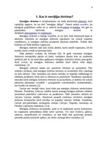 Referāts 'Enerģijas dzērienu tirgus raksturojums', 4.
