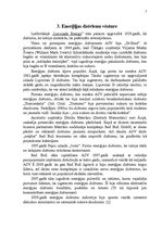 Referāts 'Enerģijas dzērienu tirgus raksturojums', 7.