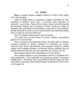 Referāts 'Enerģijas dzērienu tirgus raksturojums', 10.