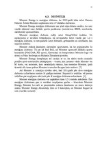 Referāts 'Enerģijas dzērienu tirgus raksturojums', 11.