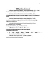 Referāts 'Enerģijas dzērienu tirgus raksturojums', 17.