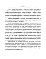 Referāts 'Mediju ietekme uz sievietes lomu sabiedrībā', 9.