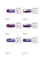 Referāts 'Mediju ietekme uz sievietes lomu sabiedrībā', 13.