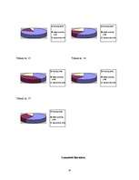 Referāts 'Mediju ietekme uz sievietes lomu sabiedrībā', 14.