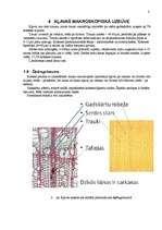 Referāts 'Kļava', 8.