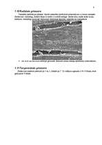 Referāts 'Kļava', 9.