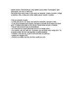 Eseja 'Alberta Bela romāns "Būris"', 2.