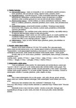 Konspekts 'Latviešu valoda', 1.